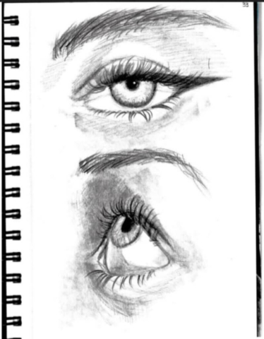 Eye Studies 1 - Portfolio - Mikibagels.com